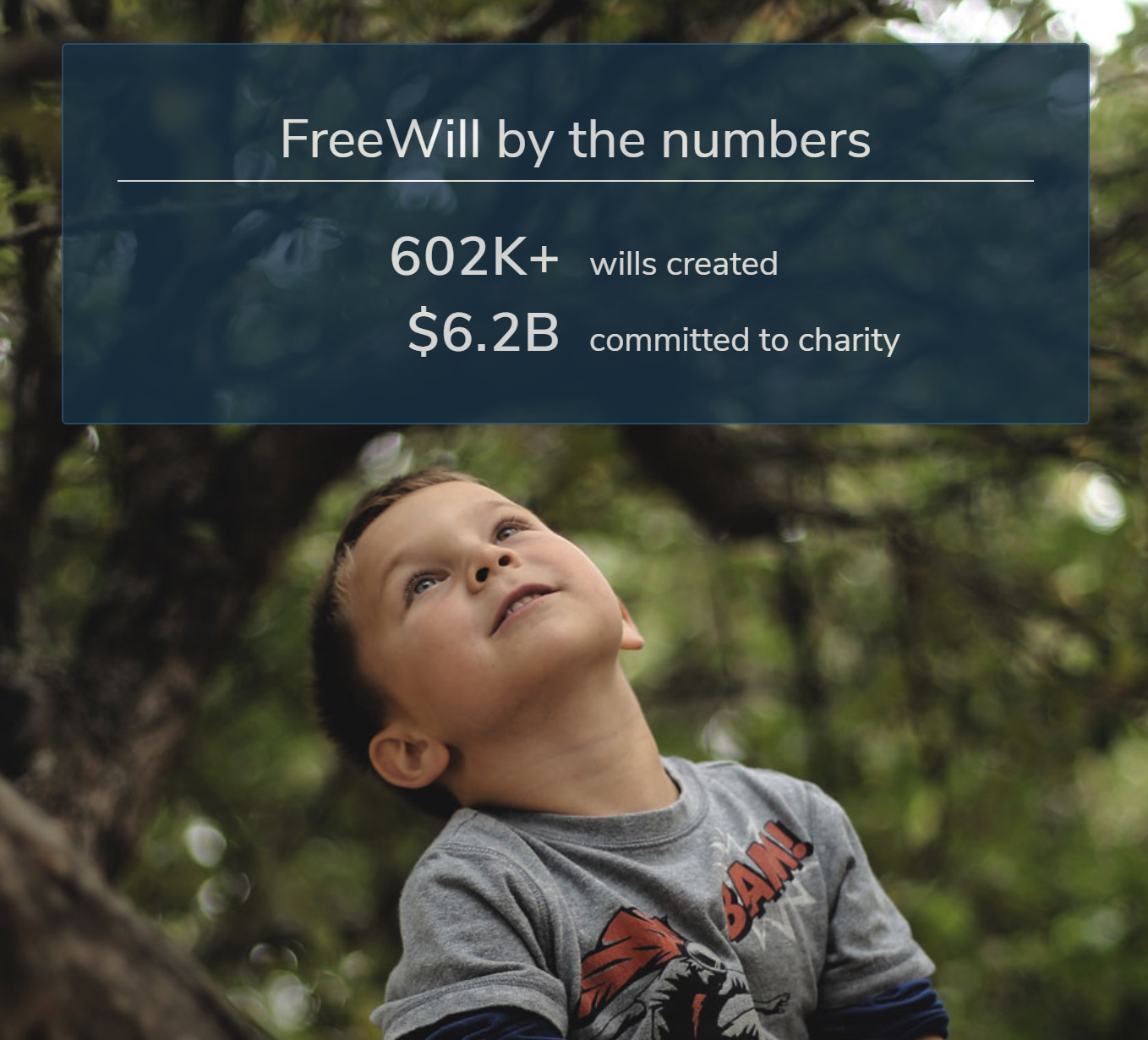 Blue Box with text "Free Will by the numbers, 602K+ will created, $6.2B Committed to charity" Sits above a boy looking into the sky under a tree. 