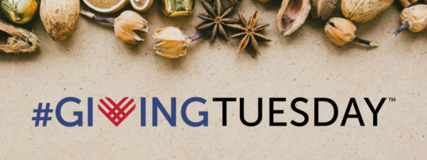 On a sand textured background the words #GivingTuesday sit in blue and black, across the top of the image are dried flowers, nuts, and star anise. 